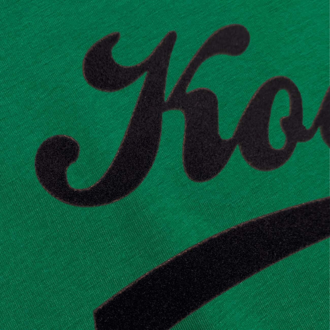 Kocaelispor 070526 Lisanslı Flog Baskılı Çocuk T-Shirt Yeşil - 4
