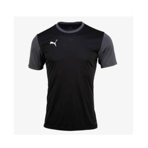 Puma 656484-04 Teamgoal 23 Sideline Tee Siyah 