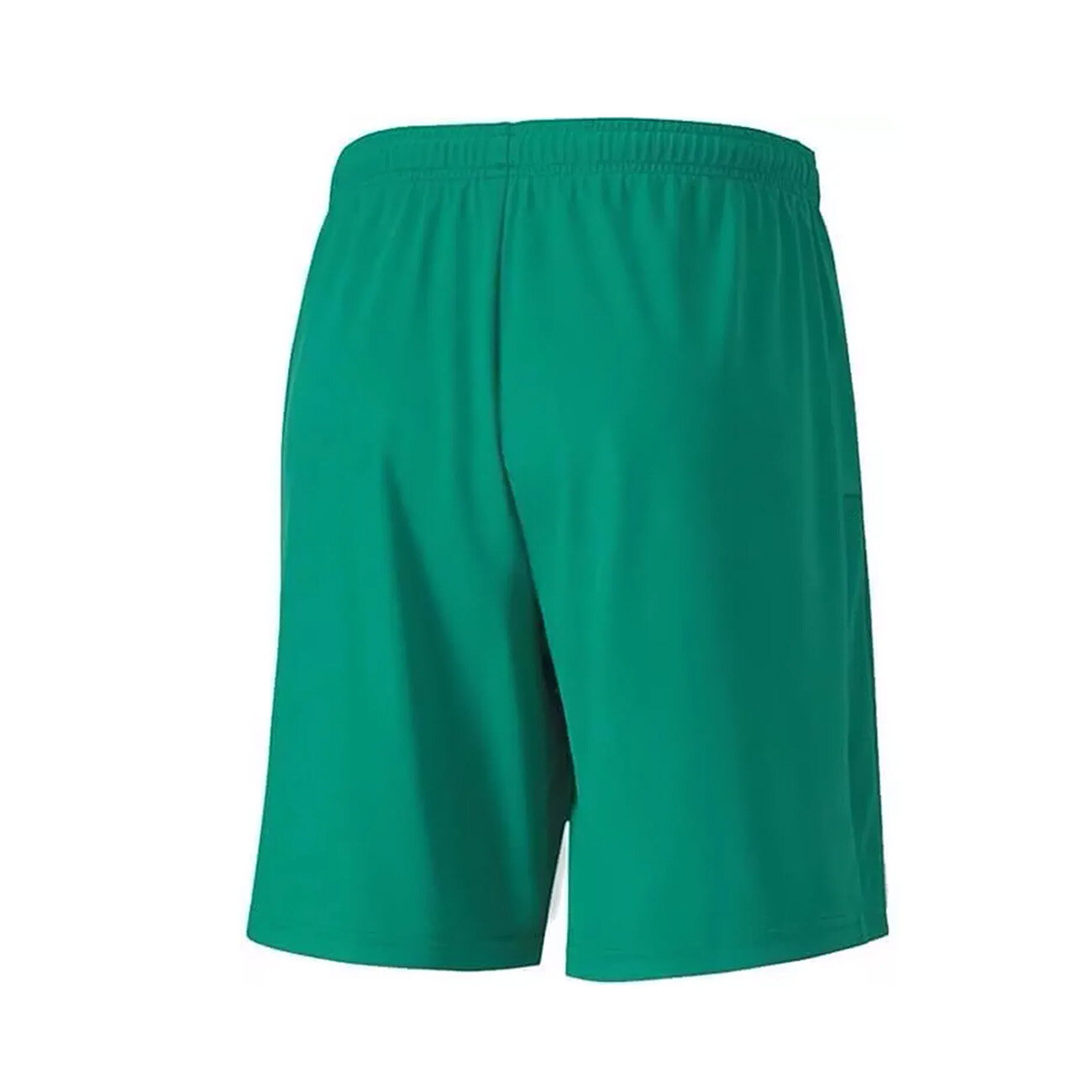 Puma 704262 Teamgoal 23 Knit Shorts Yeşil - 2