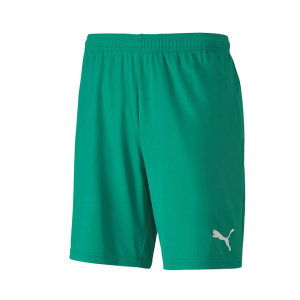 Puma 704262 Teamgoal 23 Knit Shorts Yeşil 