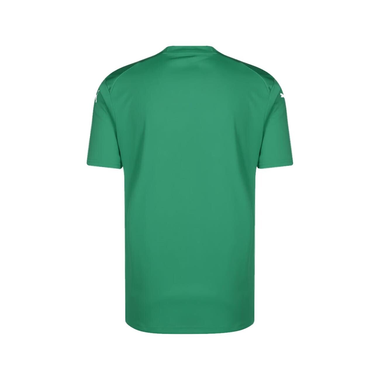 Puma 705017 Teamglory Jersey Yeşil - 2
